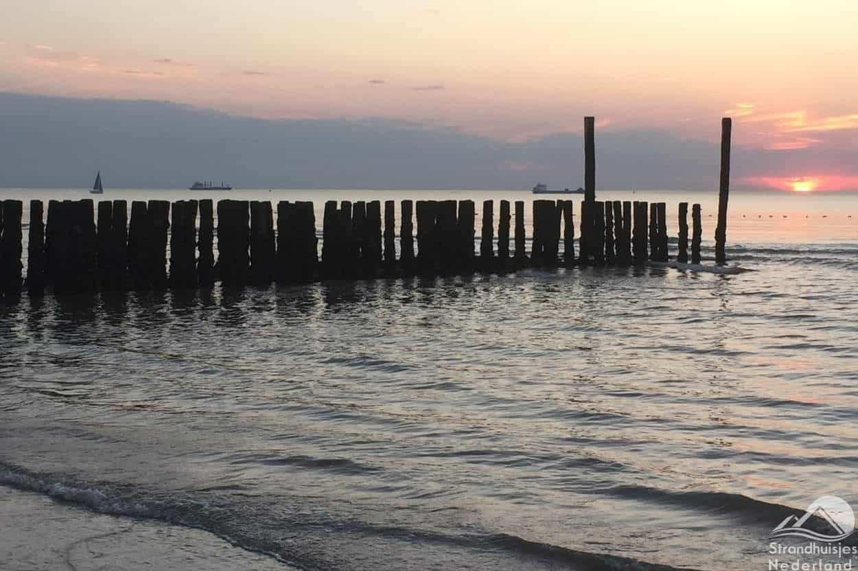 Paalhoofden-bij-zonsondergang-zee-Nieuwvliet